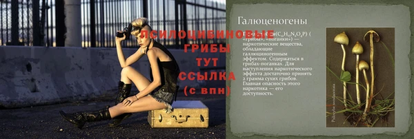 твердый Армянск