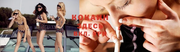 сатива Арсеньев
