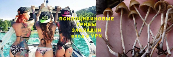 твердый Армянск