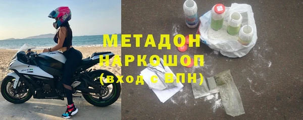 сатива Арсеньев